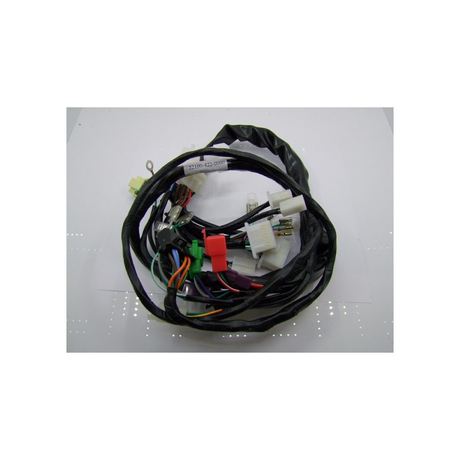 Cablage - faisceau electrique - CBX1000 z/a