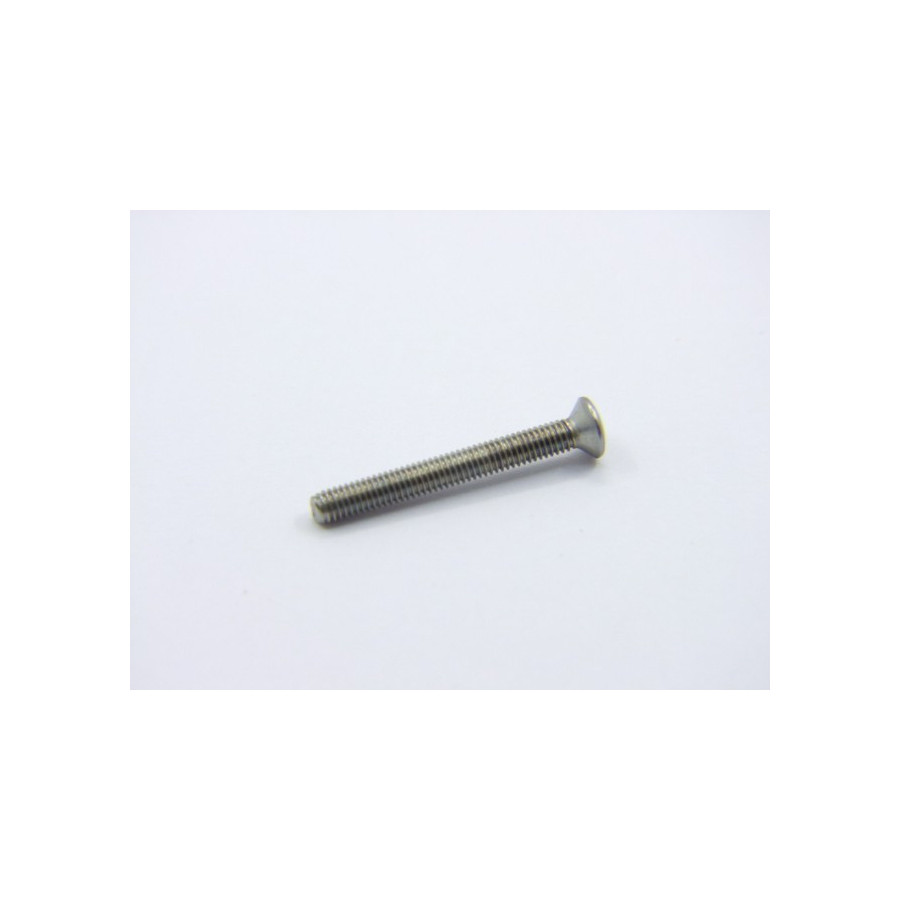 Clignotant - Vis de cabochon (x1) - M3x25