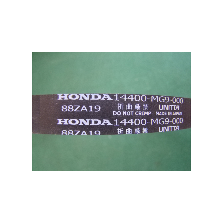 Distribution - Courroie - GL1200 (x1) - Honda