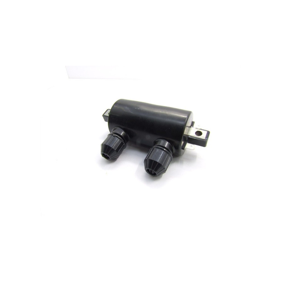 Allumage - bobine Universelle - 12V - 5 ohms - Double - entraxe 102mm