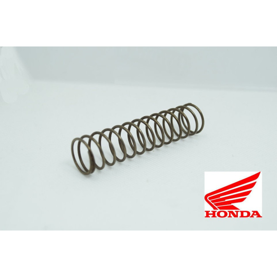 Moteur - Distribution - Ressort Tendeur chaine