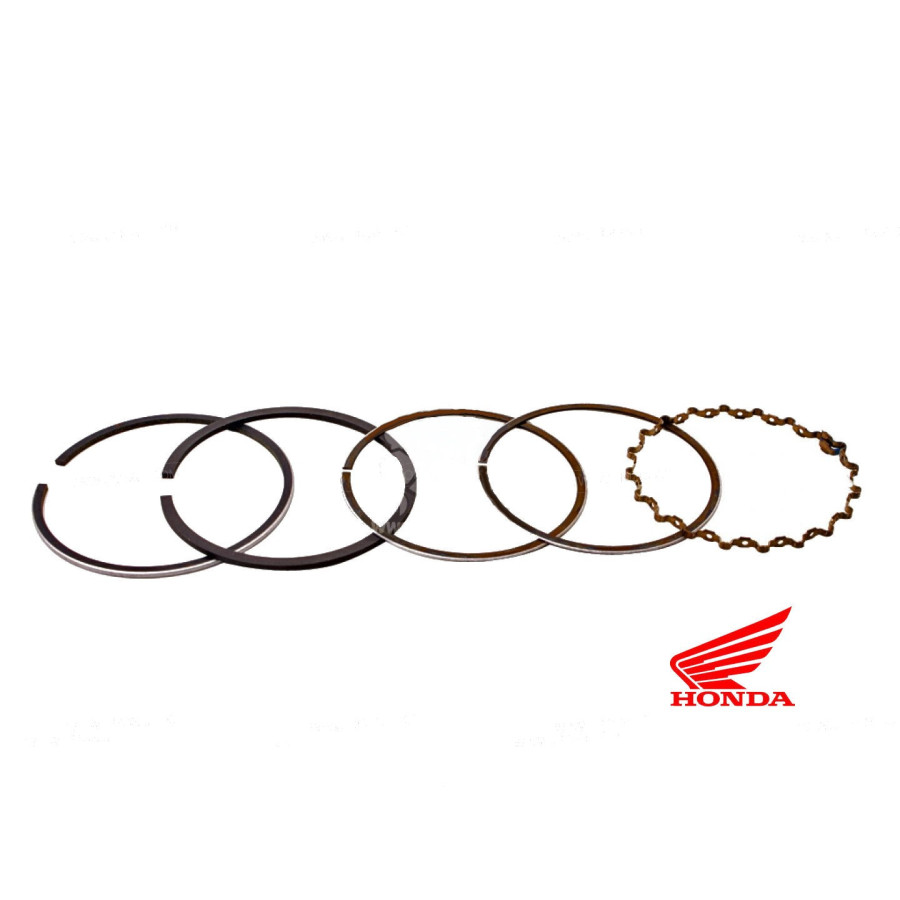 Moteur - Segment - 230, 303, 399 - ø44.50mm - (+0.50)