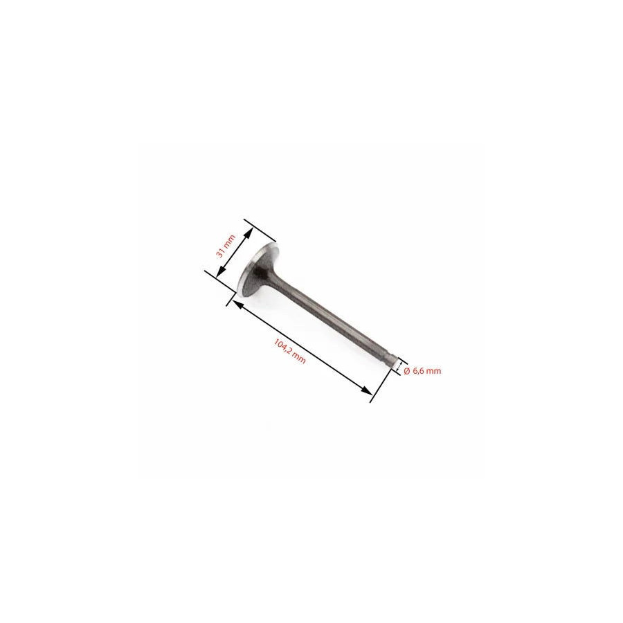 Moteur - Soupape - Echappement  - XL600, XR600, GB500, NX650