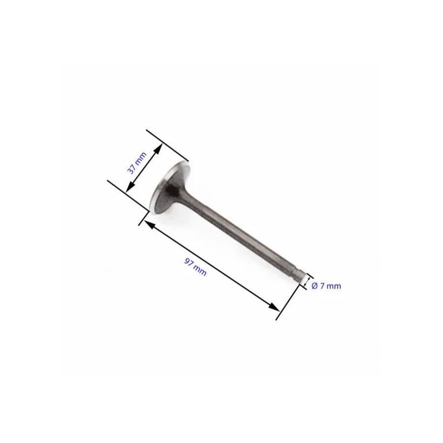 Moteur - Soupape - Admission - 1VJ-12111-00 - 4WV-12111-00 - XT600 - ... - TT600
