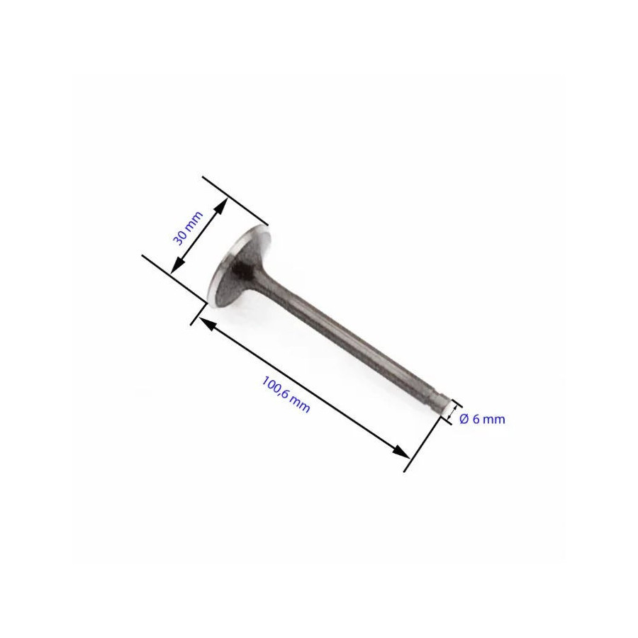 Moteur - Soupape - Admission - XTZ660 - 3YF-12111-00