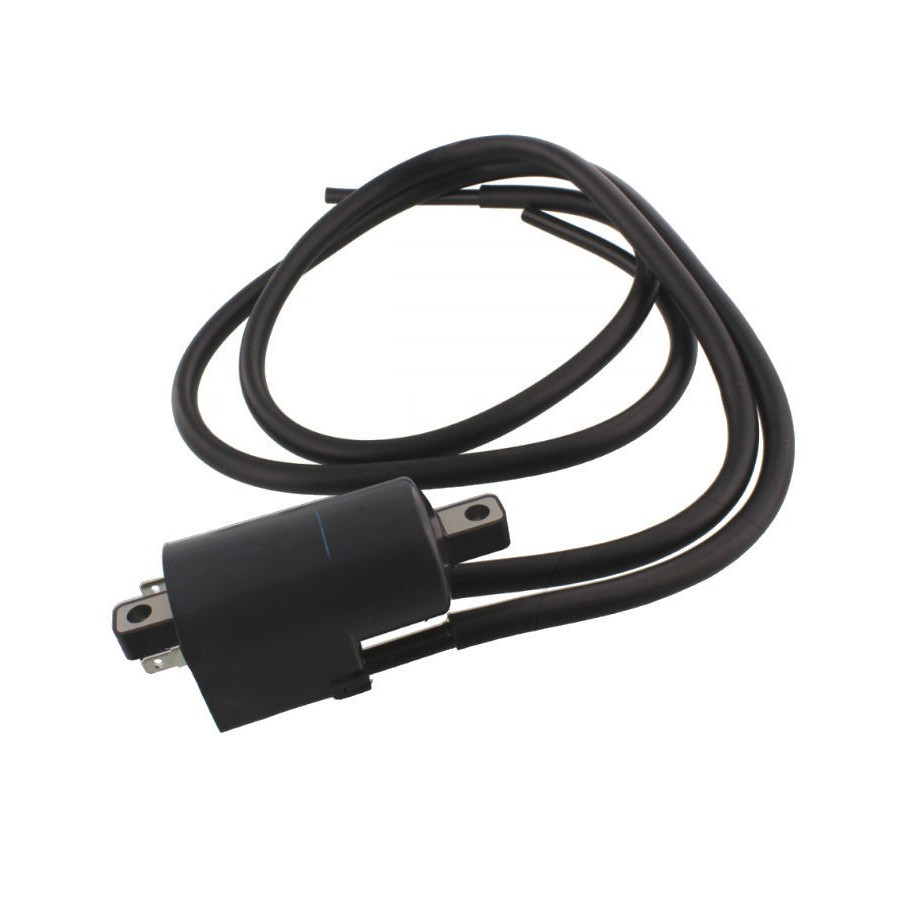 Allumage - Bobine - 12v - Double - 33410-40C00 -