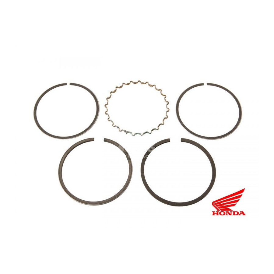 Moteur - Segment - "230"-"303"-"399" - ø45.00mm - (+1.00)