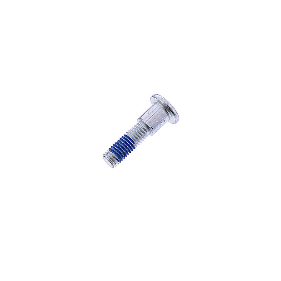 Frein - Disque - Vis de fixation - (M8 x1.25) - lg 21 mm