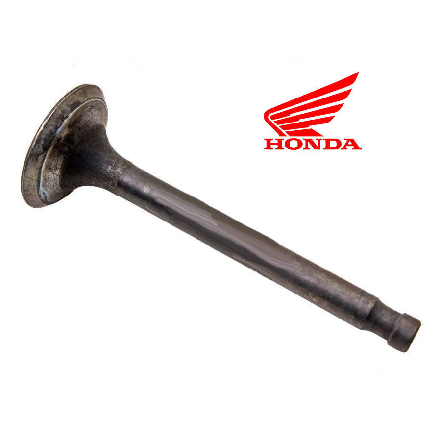 Moteur - Soupape Echappement - XL125 R/S - XL185